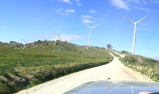 fafe2619